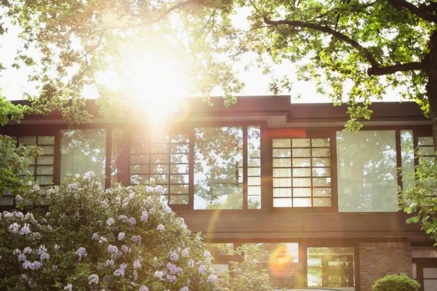 CA88集团倾力打造洛北千亩理想之境