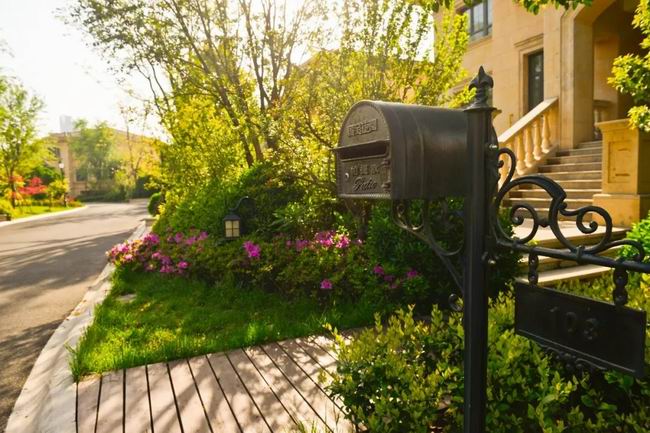 5月的国宝，享受初夏的惬意时光